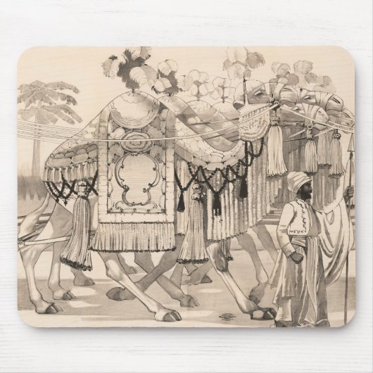 Kamelen lopen gekleed in kostuum muismat (Voorkant)