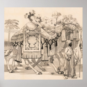 Kamelen lopen gekleed in kostuum poster