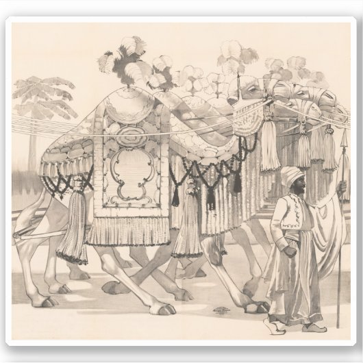 Kamelen lopen gekleed in kostuum sticker (Voorkant)