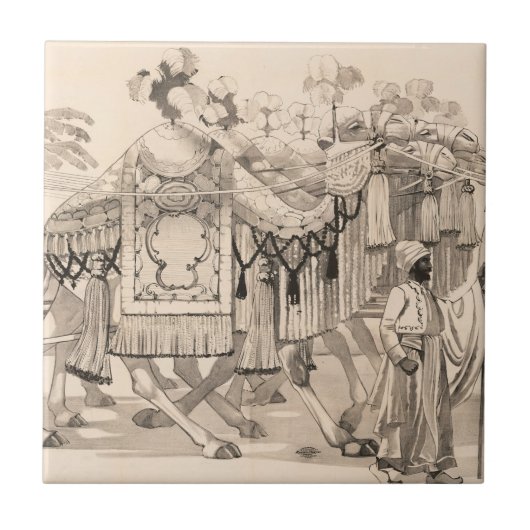 Kamelen lopen gekleed in kostuum tegeltje (Voorkant)