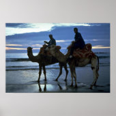 Kamelen, Marokko Poster (Voorkant)