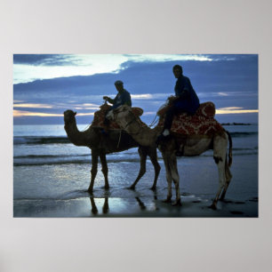 Kamelen, Marokko Poster