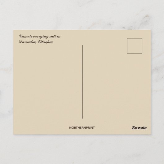 Kamelen met zout in Dancalia Ethiopië Briefkaart (Achterkant)