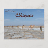 Kamelen met zout in Dancalia Ethiopië Briefkaart (Voorkant)