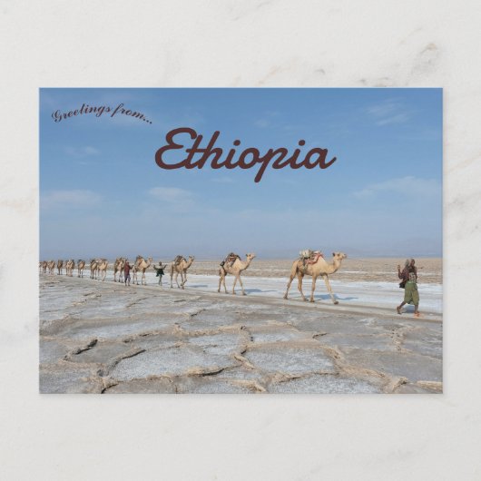 Kamelen met zout in Dancalia Ethiopië Briefkaart (Voorkant)