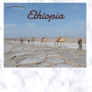 Kamelen met zout in Dancalia Ethiopië Briefkaart