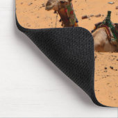 kamelen muismat (Hoek)