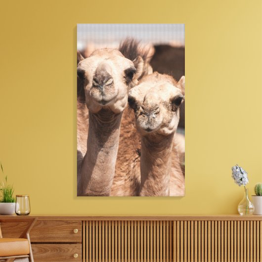 Kamelen op de Camelmarkt in Al Ain bij Dubai Canvas Afdruk (Insitu (Woonkamer))