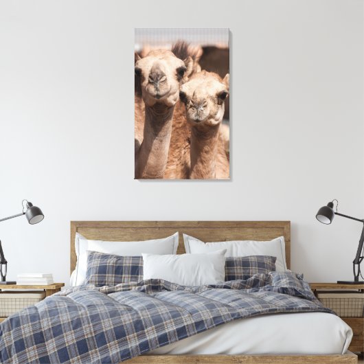 Kamelen op de Camelmarkt in Al Ain bij Dubai Canvas Afdruk (Insitu (Slaapkamer))