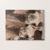 Kamelen op de Camelmarkt in Al Ain bij Dubai Legpuzzel (Horizontaal)