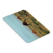 Kamelen, Tunesië Magneet (Rechterzijde)