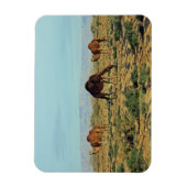 Kamelen, Tunesië Magneet (Verticaal)