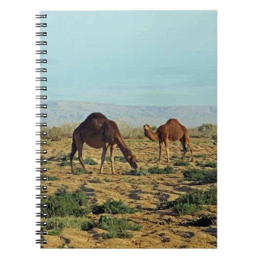 Kamelen, Tunesië Notitieboek (Voorkant)