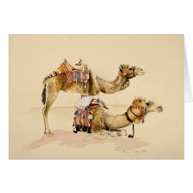 Kamelen uit Petra 2007 (Voorkant Horizontaal)