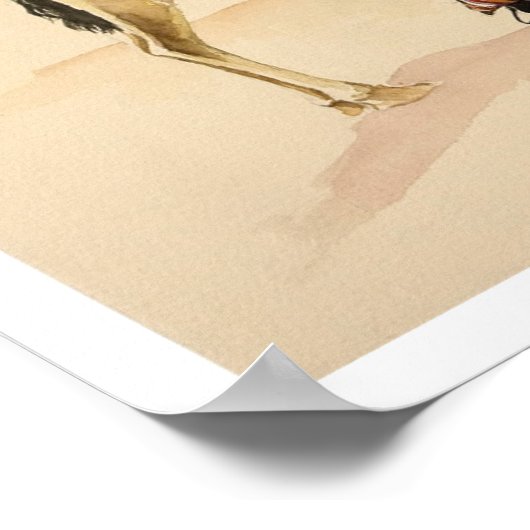 Kamelen uit Petra 2007 Poster (Hoek)