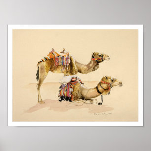 Kamelen uit Petra 2007 Poster