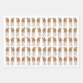 Kamelen verpakken papieren vellen (Voorkant 3)