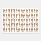 Kamelen verpakken papieren vellen (Voorkant)