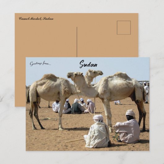 Kamelenmarkt in Soedan Briefkaart (Voorkant / Achterkant)
