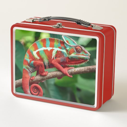 Kameleon  (Voorkant)