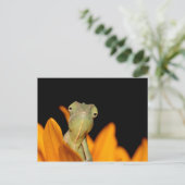 kameleon briefkaart (Staand voorkant)