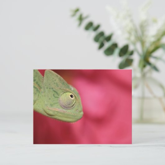 kameleon briefkaart (Staand voorkant)
