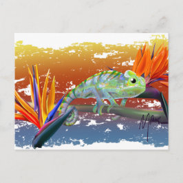 Kameleon  briefkaart