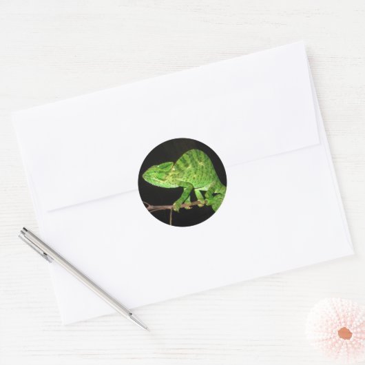 Kameleon (Chamaeleo zeylanicus) Ronde Sticker (Envelop)