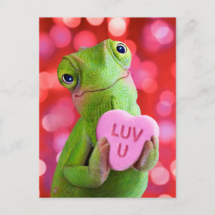 Kameleon Hart (Luv U) Briefkaart
