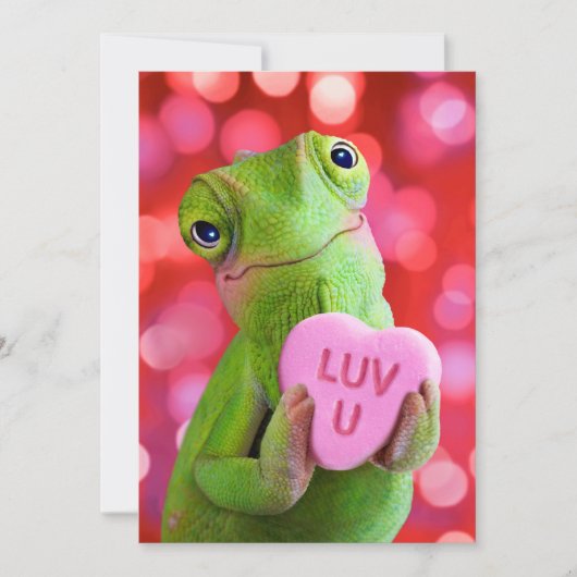 Kameleon Hart (Luv U) Kaart (Voorkant)