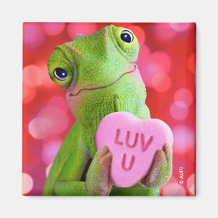 Kameleon Hart (Luv U) Magneet