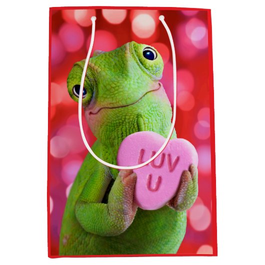Kameleon Hart (Luv U) Medium Cadeauzakje (Voorkant)