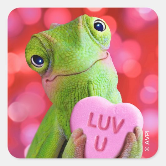 Kameleon Hart (Luv U) Vierkante Sticker (Voorkant)