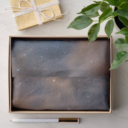 Kameleon I Dark Cloud Tissuepapier (Geschenk)