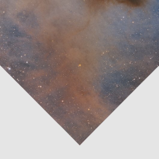 Kameleon I Dark Cloud Tissuepapier (Detail)