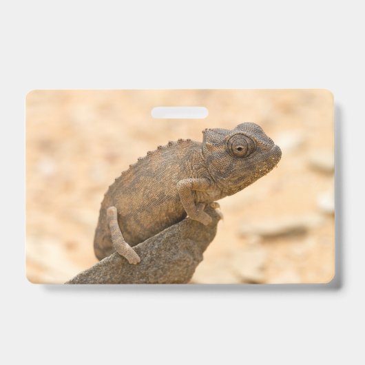 Kameleon in Namibië Badge (Voorzijde)