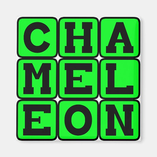 Kameleon, Kleurveranderende Hagedis Magneet (Voorkant)