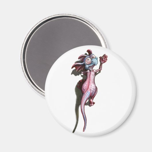 kameleon magneet (Voorkant / Achterkant)