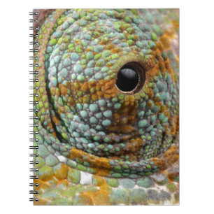 Kameleon Oog Mod Stijlvol Dier Notitieboek