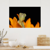 kameleon poster (Keuken)
