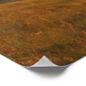 Kameleon Poster (Hoek)