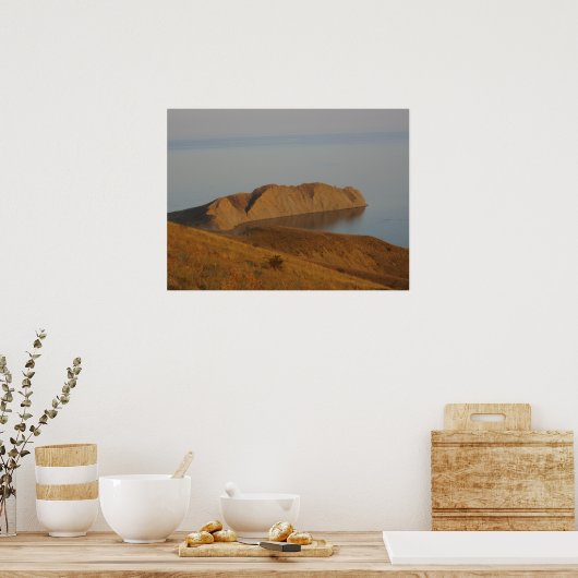 Kameleon Poster (Keuken)