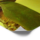 kameleon poster (Hoek)