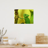 kameleon poster (Keuken)