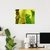 kameleon poster (Thuiskantoor)