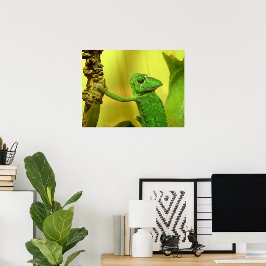 kameleon poster (Thuiskantoor)
