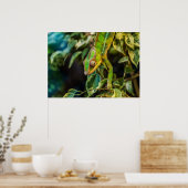 Kameleon Poster (Keuken)