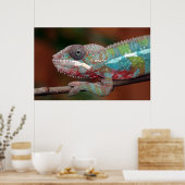 kameleon poster (Keuken)
