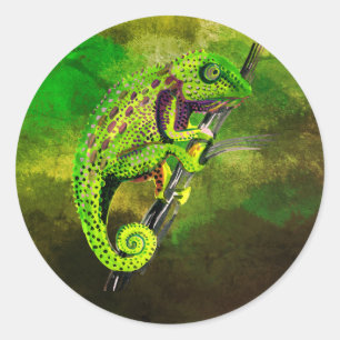 Kameleons! Ronde Sticker
