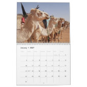 Kamelkalender Kalender (Jan 2027)